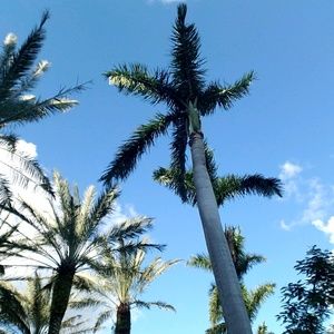 Meet your Posher, Ellissa